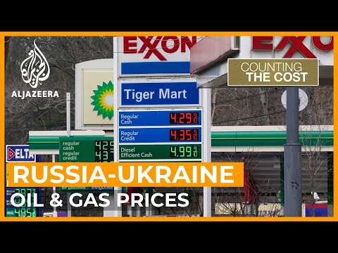 Will efforts to cut Russian energy imports cause oil price shock? | Counting the Cost