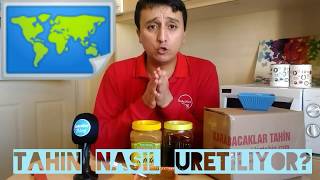 Susamdan Tahin Nasıl Yapılır? Tahin Nasıl Üretiliyor? Kepekli Tahin & Çifte Kavrulmuş Tahin