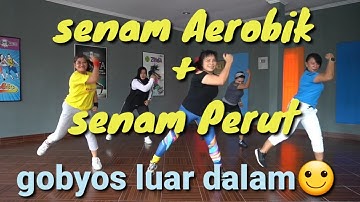 Senam Aerobik + Senam Perut | Senam Bakar lemak | tinydance