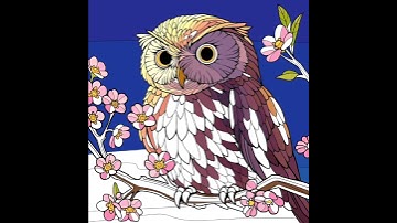 Illustration of an owl #colorbynumber #inspiration #creative #relax #bird #cute