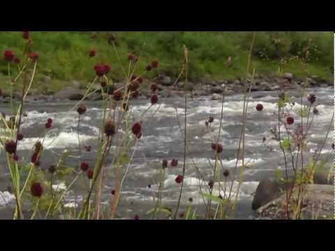 Эвенкия 2011. Часть