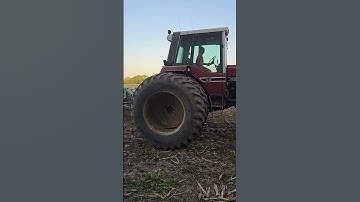 IH 1486 - 9 shank chisel plow #BigAd #redpower