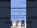 пчёлы жадных не любят - Владимир Прокопенко #shorts