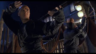 IRON MONKEY[THE FIGHT SCENE]