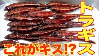釣ったトラギスと貰ったキスを天ぷらで食べ比べ！