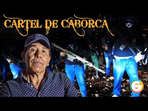 Rafael Caro Quintero : Cártel de Caborca #Sonora