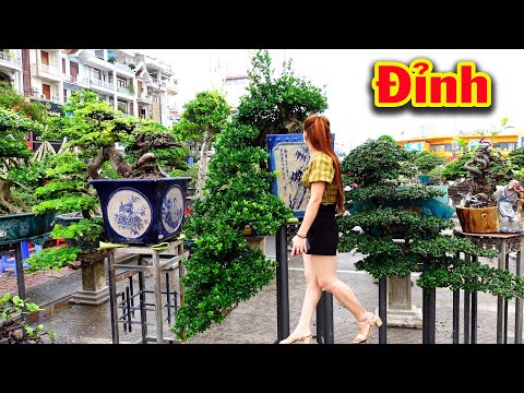 Video Phụ nữ cũng phải mê những cây đẹp này, đỉnh cao của... - youtube