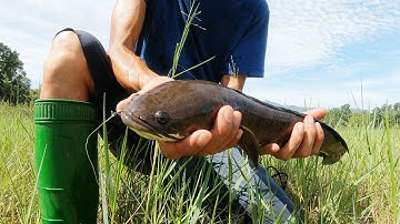 9 KINH NGHIỆM CÂU LURE CHO NGƯỜI MỚI BẮT ĐẦU