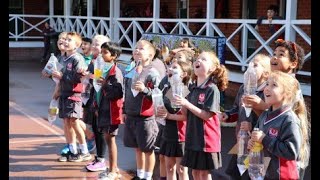 Science Week Rockets