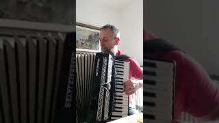 Accordion. Roberto Carrara. 11 febbraio 2021 anno.