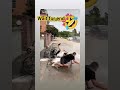 #funny short video 🤣🤣 #daily vlogs uk5 ♥️😍 #dailyvloggers #comedy