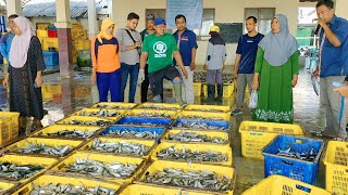 KM BOYO Lelang Terakir!! Lelang Ikan Segini Kira Kira Laku Berapa - Nelayan Story