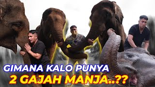 DATENG-DATENG LANGSUNG MANDIIN GAJAH, LUCU BANGETT..!! BAWA PULANG 1 AH..