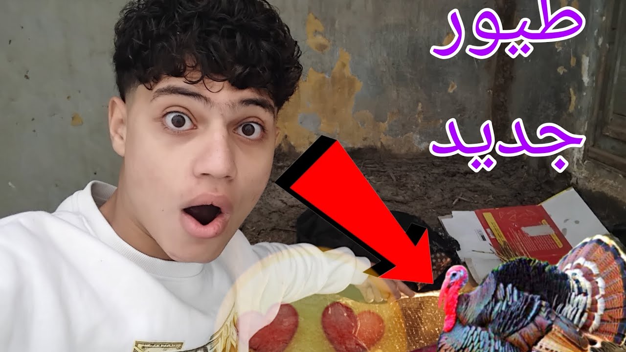 عملت شغل جديد عند الحمام 🥳 وجبت طيور جديد علي السطح 🤔
