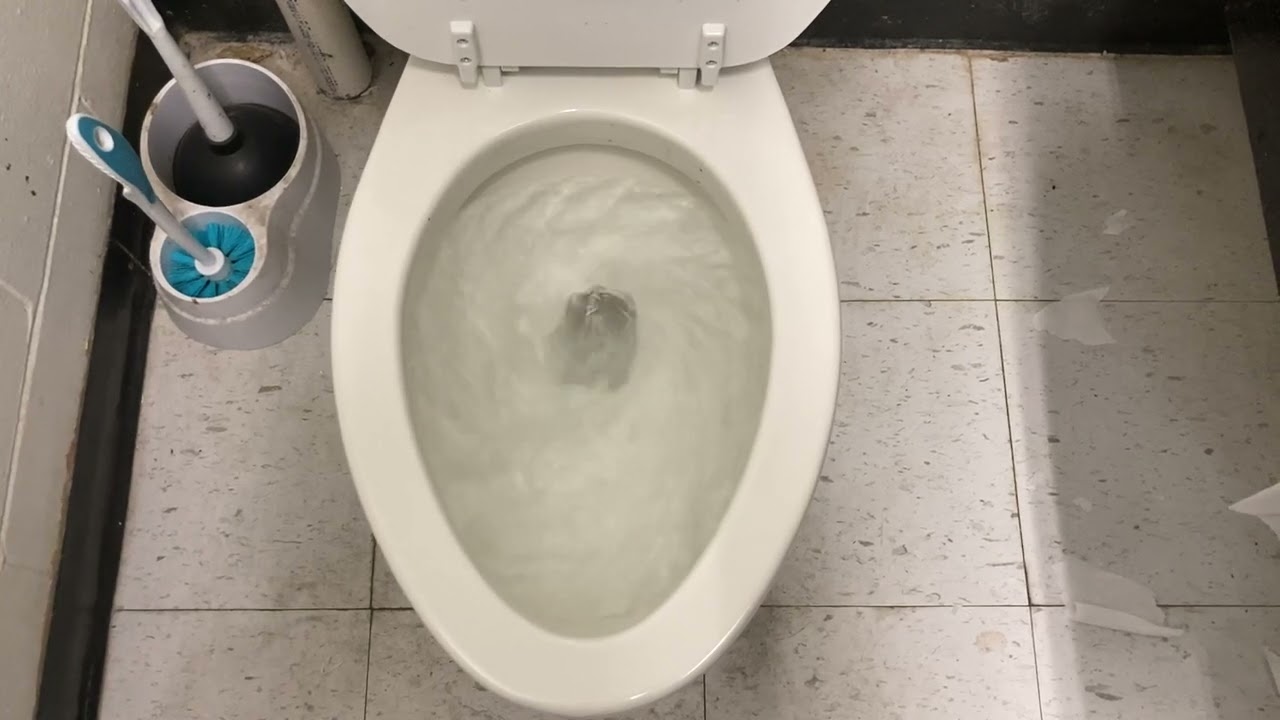 4,192. Big Lots Women’s Restroom YouTube