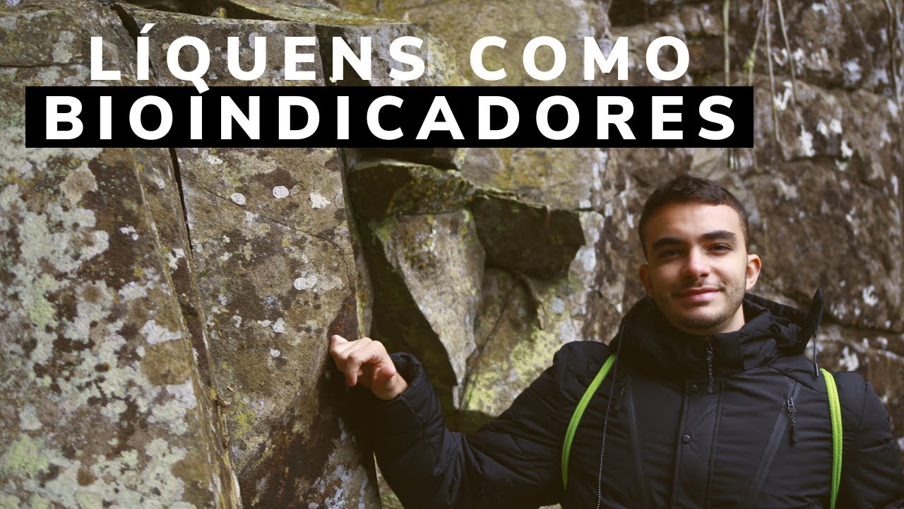 LÍQUENS COMO BIOINDICADORES