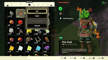 [DAY 315] of finding one korok seed in TotK everyday until a new Zelda game comes out