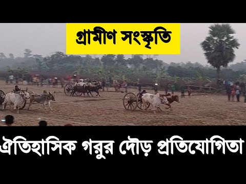 ভিডিও: স্প্যানিয়ার্ডস কেন বুল রেস চালায়