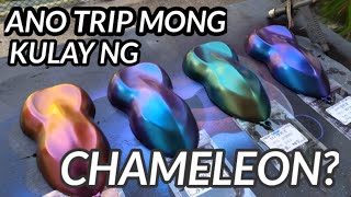 Ano ba trip mong kulay ng CHAMELEON?