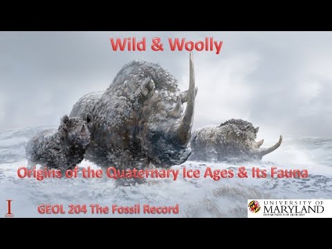 Lecture 21 Wild & Woolly: The Origins of the Quaternary Ice Age & Its Fauna
