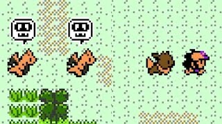 PokeWilds Was An Experience...