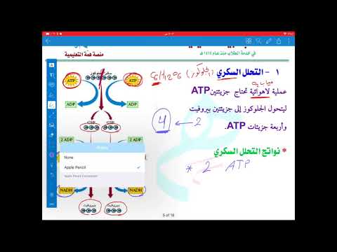 التنفس الخلوي والتخمر كفايات احياء
