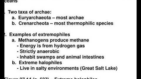 chapter 27 prokaryotes and the origins of metabolic diversity