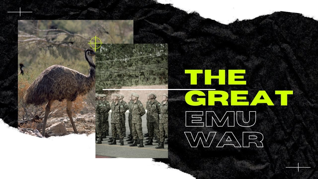 The Great Emu War: Australia’s Strangest Battle Against Birds - YouTube