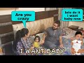 I Want Baby Now Prank on Wife | Gone Real | Amna Asad