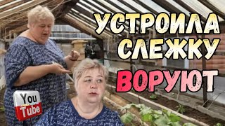 Ольга Уралочка live /Устроила слежку /Воруют /Обзор Влогов /Уралочка и Сафар