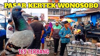 MENCARI MERPATI GIRINGAN DI PASAR KERTEK WONOSOBO BANYAK PILIHAN  LANGSUNG DI TES TERBANG 