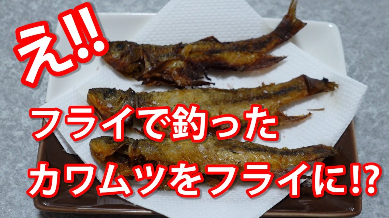 え フライで釣ったカワムツをフライに Youtube