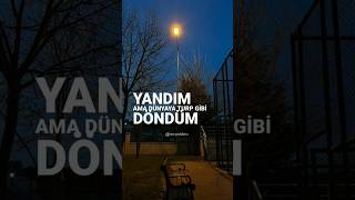 Yandım Ama Dünyaya Turp Gibi Döndüm🌟 Resimi