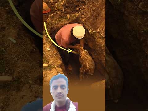 لا حول ولاقوة الابالله العلي العظيم اكسبلور لايك اقتباسات  