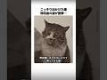 こっそり出かけた猫、帰宅後の姿が衝撃…