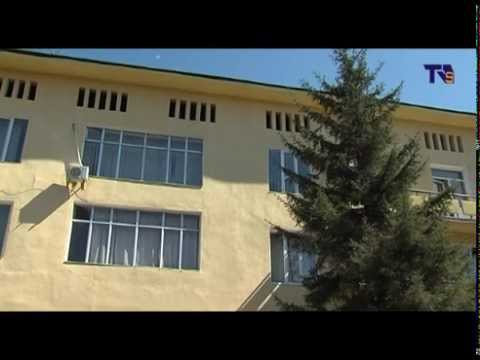 პროკურატურის შუამდგომლობით  ასპინძაში პრობაციონერი დასაქმდა