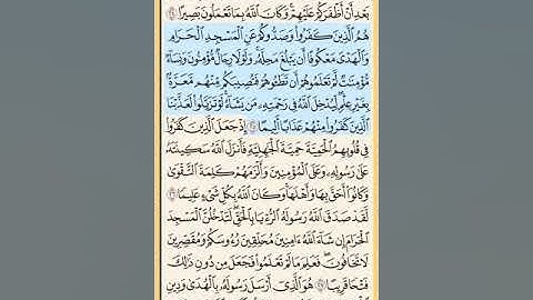 القرآن الكريم سورة الفتح من الآية الكريمة 16 إلى الآية الكريمة 29 والأخيرة محمد ايوب