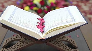 الشيخ ماهر المعيقلي سورة النساء والمائدة والانعام كاملة بجودة عالية