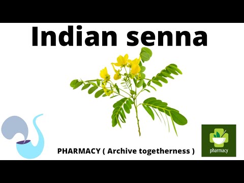 Cassia angustifolia (Senna), indian senna , plant containing anthraquione glycosides explain detail