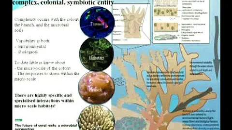 Tracy Ainsworth - The coral holobiont sensing a ch...
