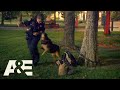 Nightwatch: EMTs Struggle With Seizure Patient&#39;s Guard Dog | A&amp;E