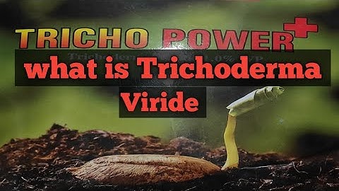 What is trichoderma viride??? #Gardenhackssouravmondal