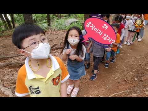 8월 동영상(여름 곤충들)