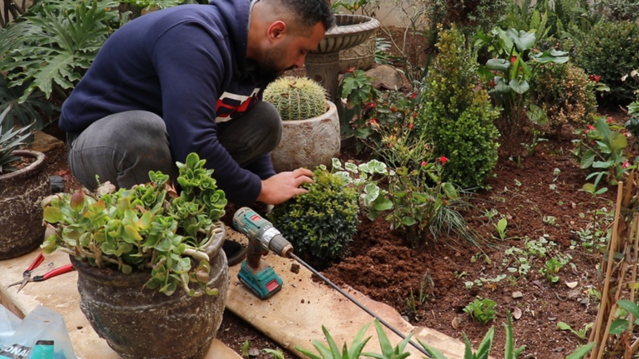 جمع الجوز وزراعة شمشير ومجموعة من الازهار