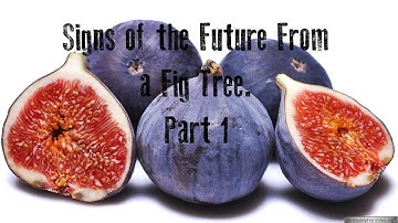 Signs of the future from a fig tree   Part 1