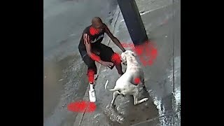 Guard dog attacks peoples