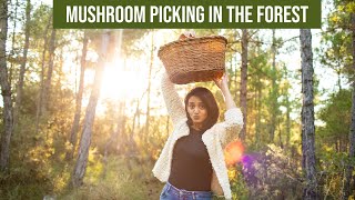 Mushroom Picking In The Pyrenees & Then Cooking Mushroom Risotto || Recipe || Infinity Platter