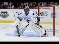 The Career of Roberto Luongo