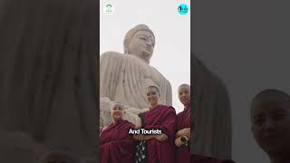 Drew And Charlie Get Mesmerized By The Grandeur Of The 80-foot Statue | Curly Tales #shorts