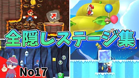 スーパーマリオブラザーズuデラックス隠しコース